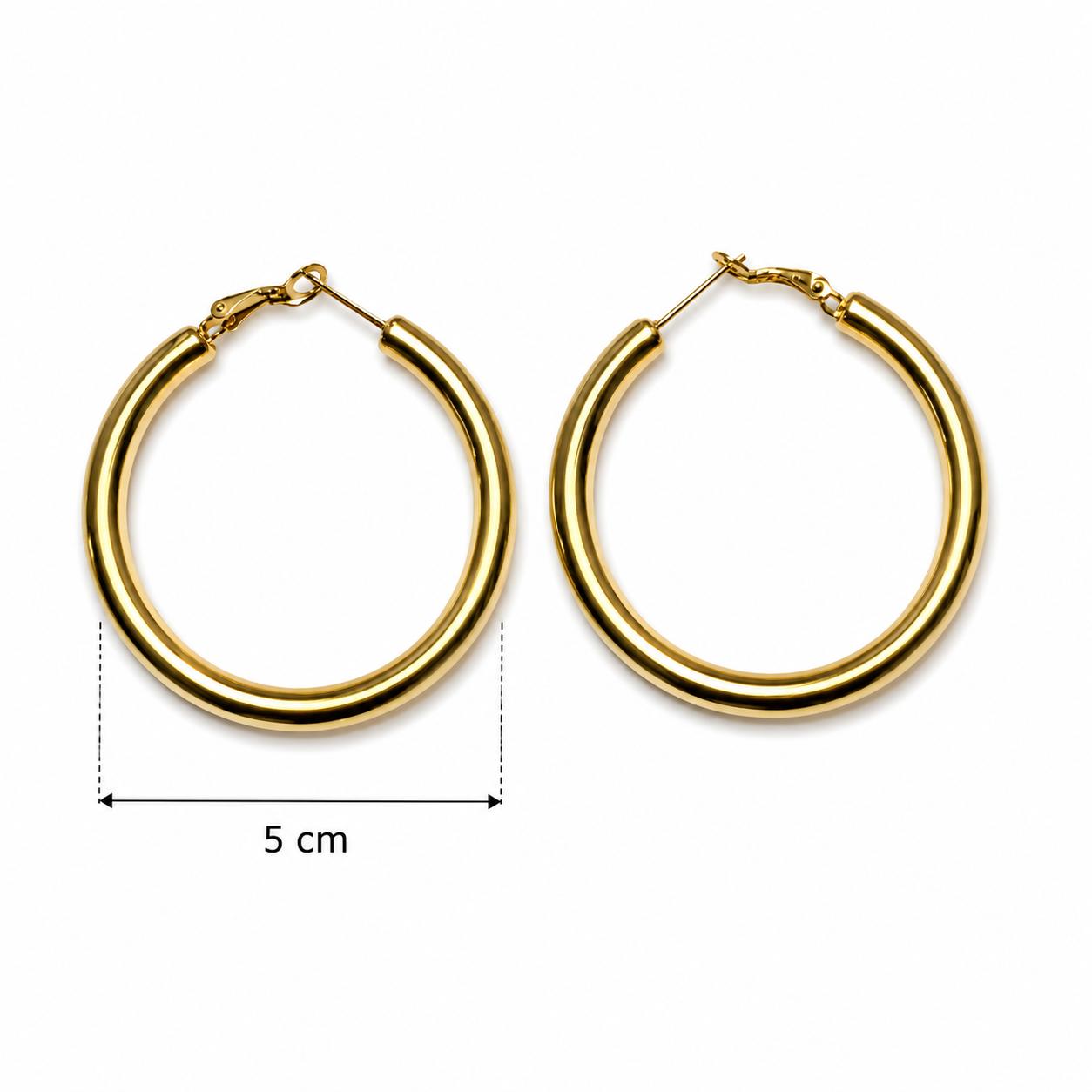Orecchini Circolari Oro e Argento 5cm